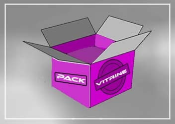 Le Pack Vitrine de Starting-net, un site peu honéreux.